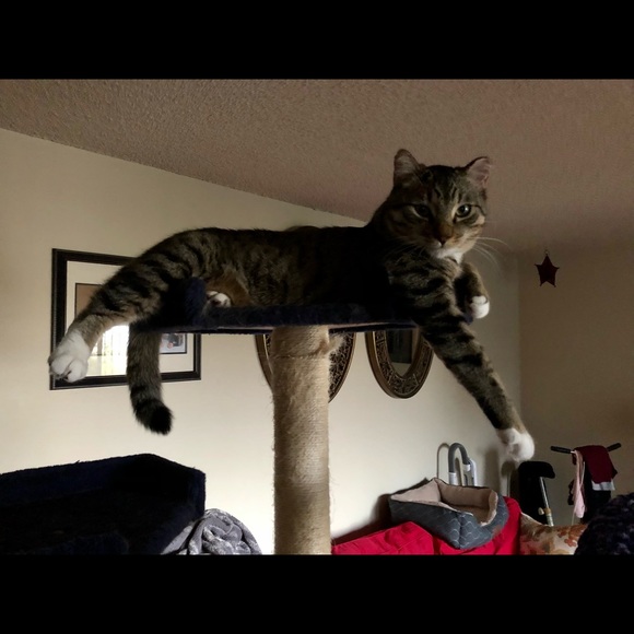 Meet your Posher, Brenda - Picture 8 of 8